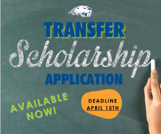 Transfer Scholarship